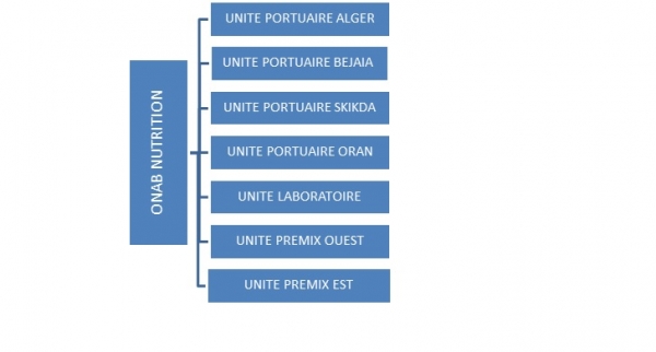 organigramme